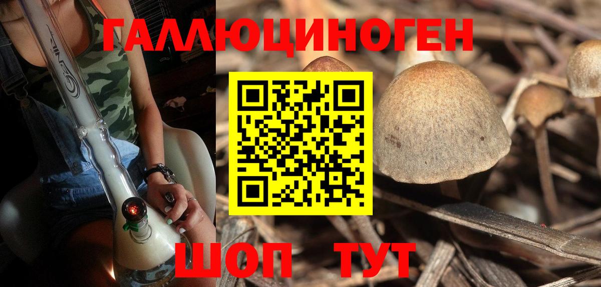 Псилоцибиновые грибы прущие грибы Вятские Поляны