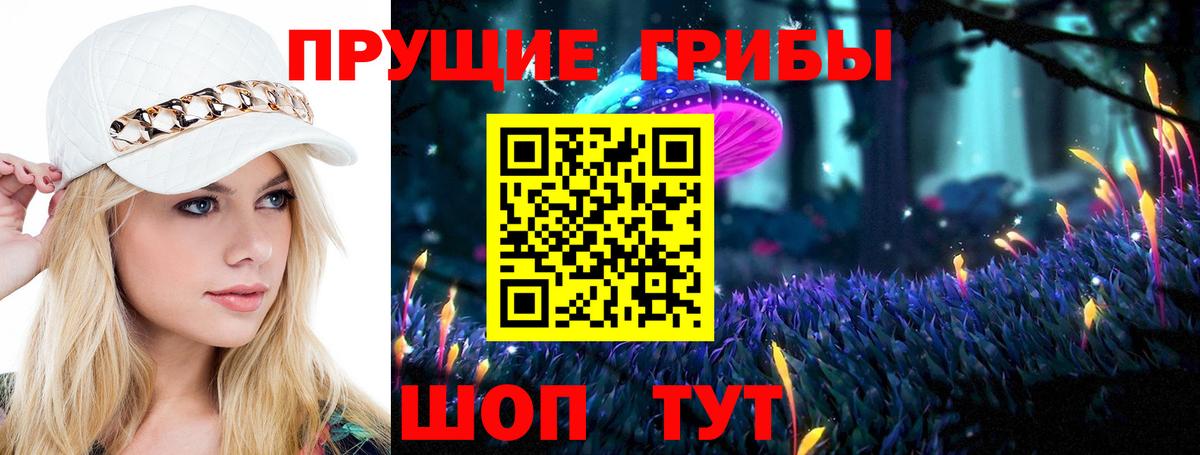 Вятские Поляны  Галлюциногенные грибы прущие грибы  Вход с VPN 